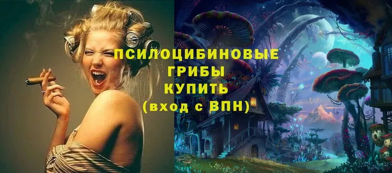 Псилоцибиновые грибы Magic Shrooms  omg как войти  Анапа 